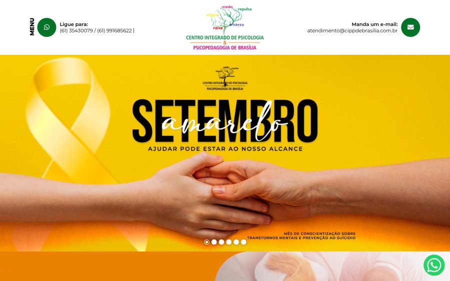 Prévia do site CIPP de Brasilia