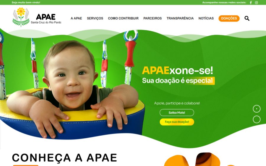 Prévia do site Apae Santa Cruz do Rio Pardo