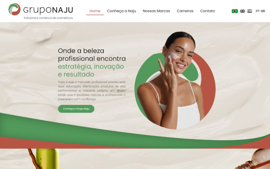 Prévia do site Grupo Naju